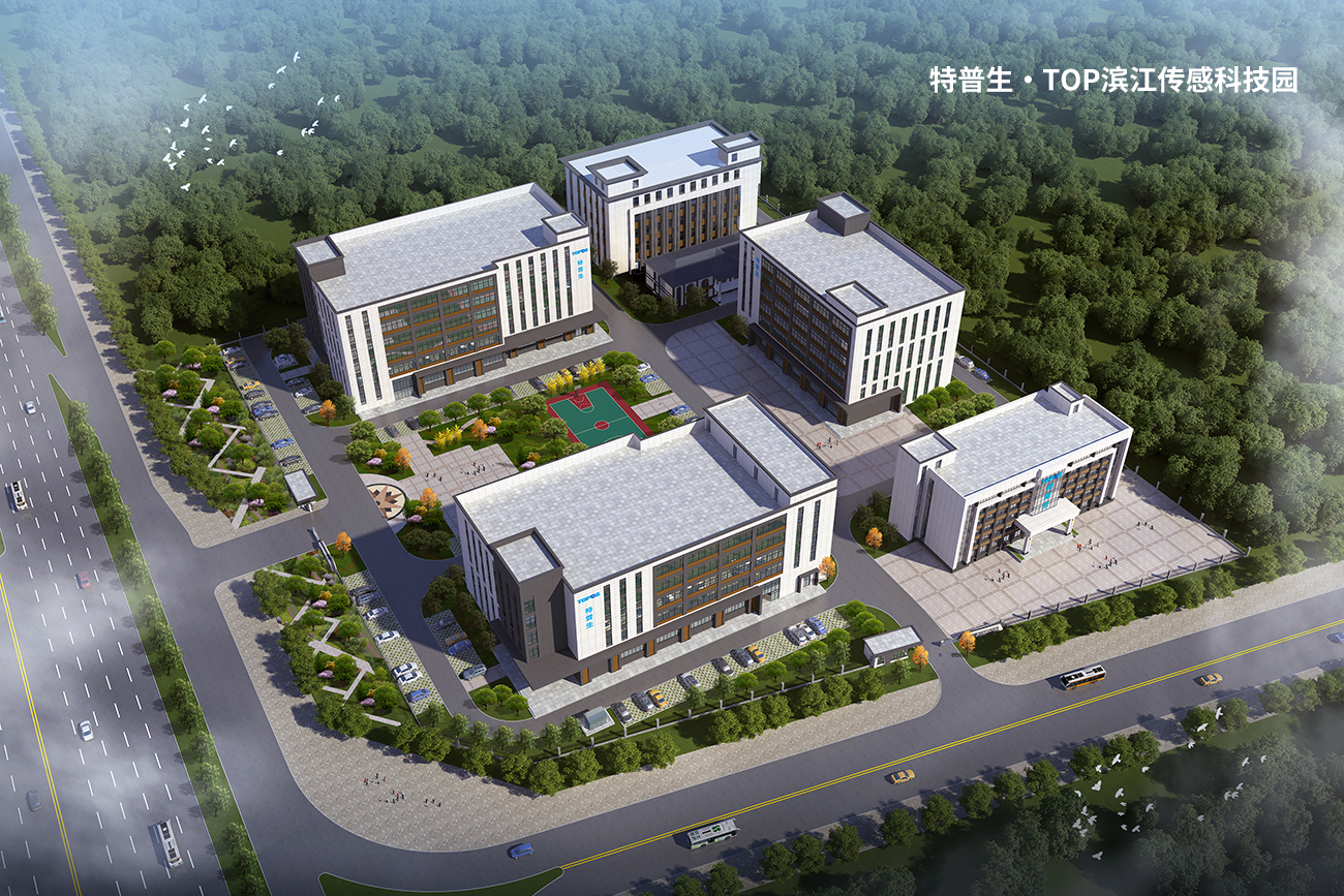 如意彩.TOP滨江传感科技园.jpg